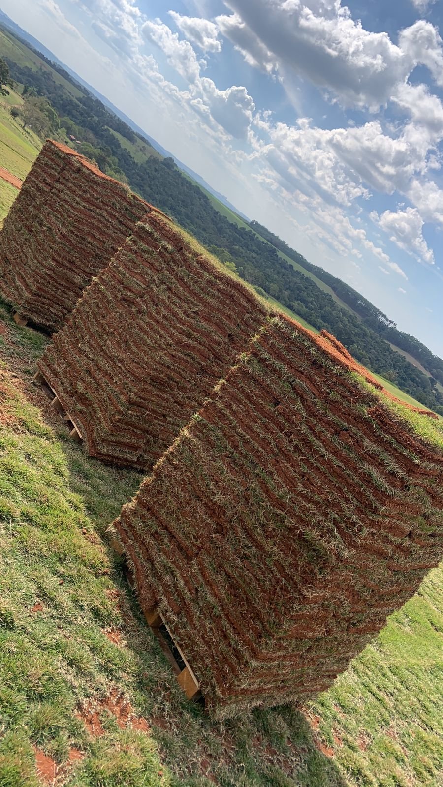 Pallets de grama empilhados